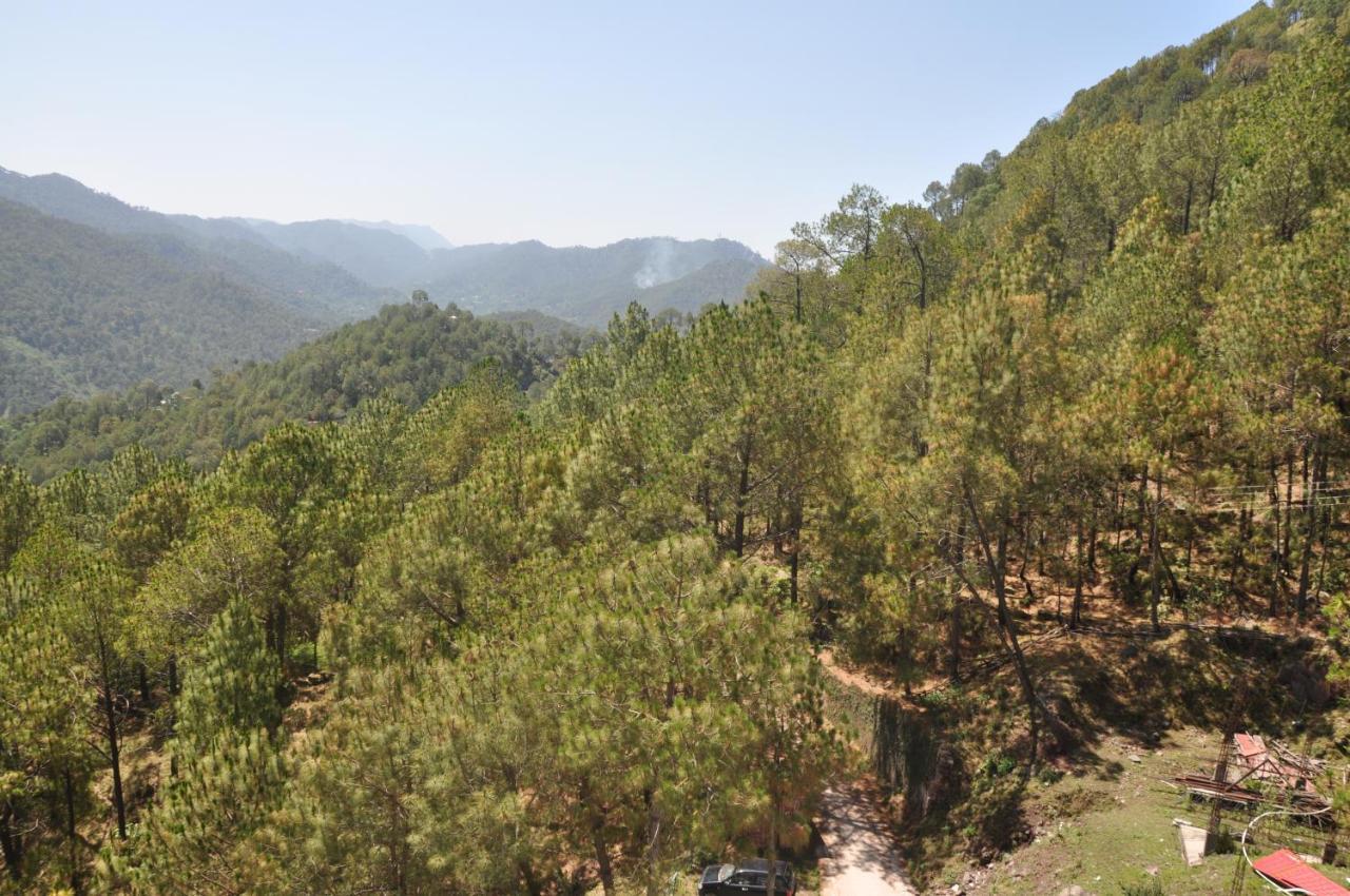 Apartament Pine Maderas By Embrace Kasauli Zewnętrze zdjęcie