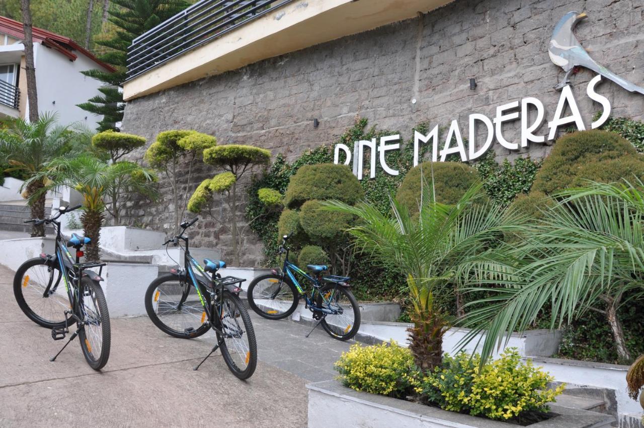 Apartament Pine Maderas By Embrace Kasauli Zewnętrze zdjęcie