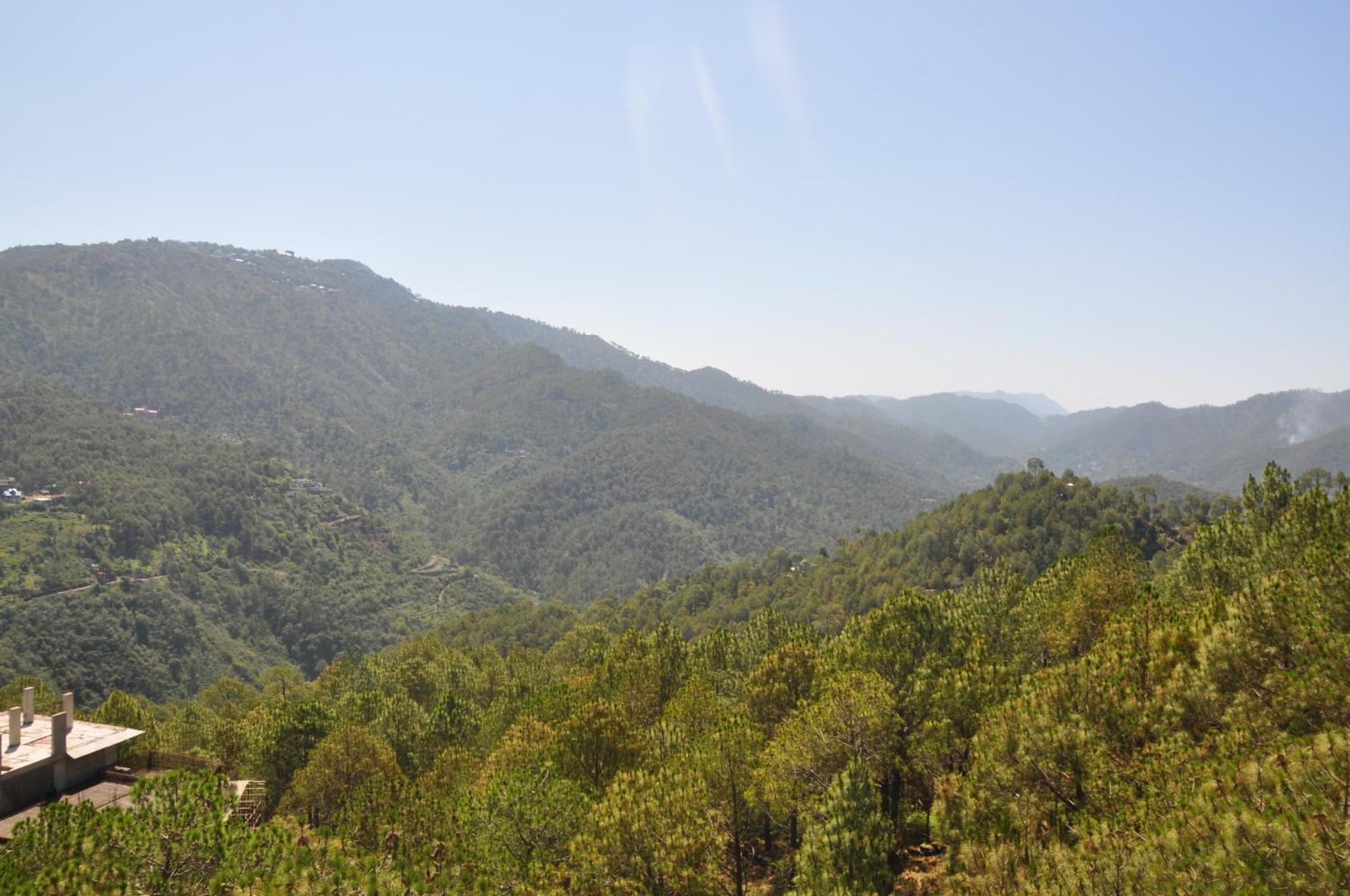 Apartament Pine Maderas By Embrace Kasauli Zewnętrze zdjęcie